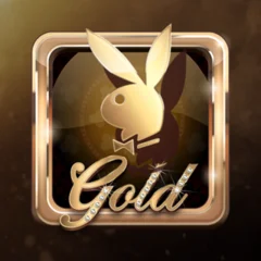Playboy Gold - SOLIDPLAY99