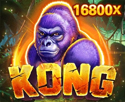 Kong - SOLIDPLAY99