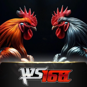 Ws168 Sabung - SOLIDPLAY99