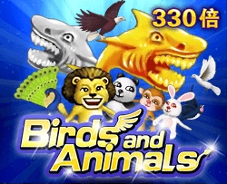 Birds and Animals - SOLIDPLAY99