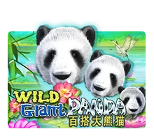 Wild Giant Panda - SOLIDPLAY99