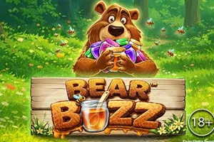 Bear Buzz - SOLIDPLAY99