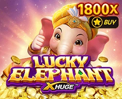 Lucky Elephant X-Huge - SOLIDPLAY99