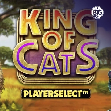 Bigtime : King of Cats - SOLIDPLAY99