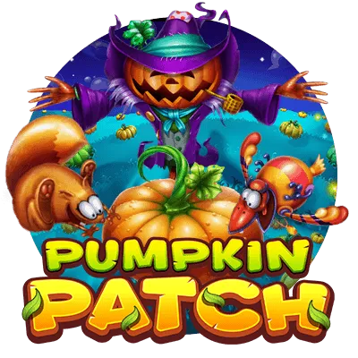 Pumpkin Patch - SOLIDPLAY99