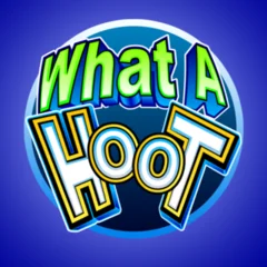 What A Hoot - SOLIDPLAY99