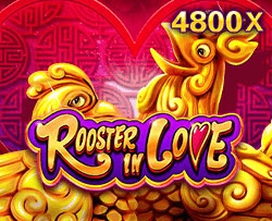 Rooster In Love - SOLIDPLAY99