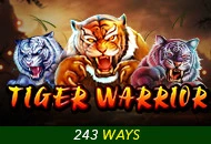 Spadegaming : Tiger Warrior - SOLIDPLAY99