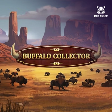 Buffalo Collector - SOLIDPLAY99