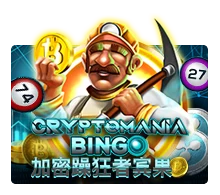 Crypto Mania Bingo - SOLIDPLAY99