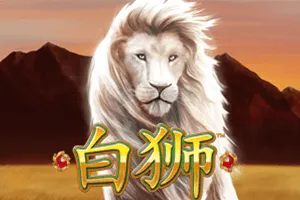Bai Shi - SOLIDPLAY99