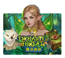 Enchanted Forest - SOLIDPLAY99