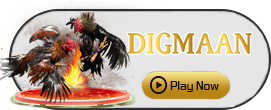 Digman - SOLIDPLAY99